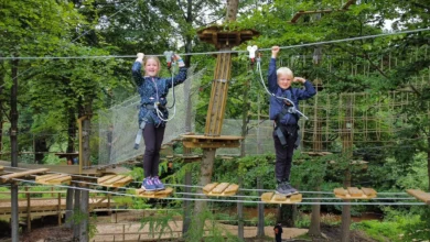 go ape dalkeith