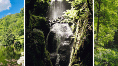 canonteign falls tickets