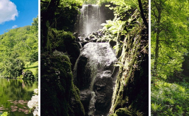 canonteign falls tickets