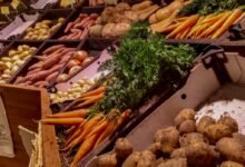 eat the seasons uk