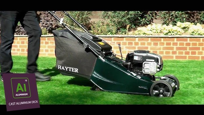 hayter harrier 41