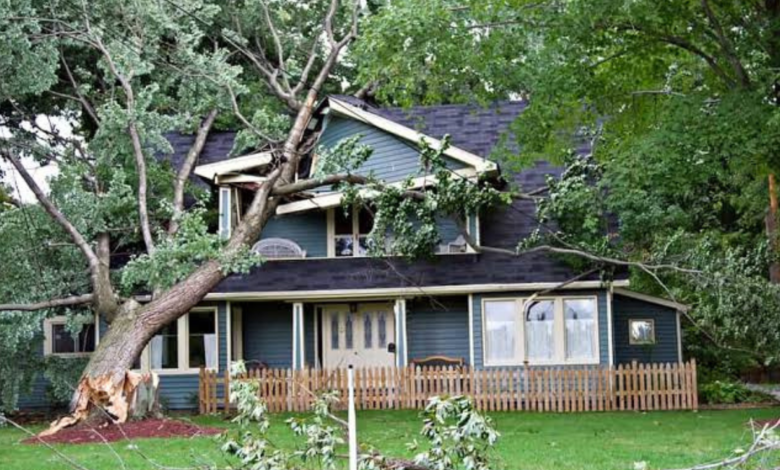 storm damage restoration near me
